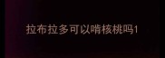 拉布拉多可以啃核桃吗