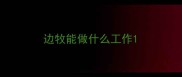 边牧能做什么工作