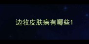 边牧皮肤病有哪些