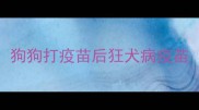 狗狗打疫苗后狂犬病疫苗