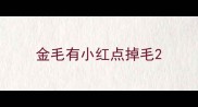 金毛有小红点掉毛