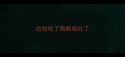 边牧吃了狗粮就吐了