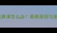 狗狗打喷嚏流鼻涕怎么办最新原因与家庭护理指南