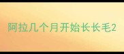 阿拉几个月开始长长毛