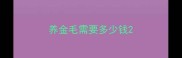养金毛需要多少钱