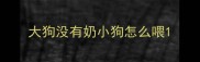 大狗没有奶小狗怎么喂