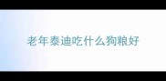 老年泰迪吃什么狗粮好