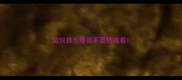边牧换毛期是不是特难看