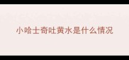 小哈士奇吐黄水是什么情况