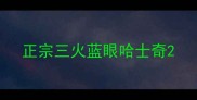 正宗三火蓝眼哈士奇