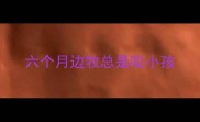 六个月边牧总是咬小孩