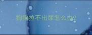 狗狗拉不出尿怎么办