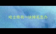 哈士奇有一块掉毛怎办