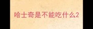 哈士奇是不能吃什么
