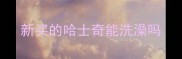 新买的哈士奇能洗澡吗