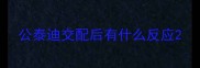 公泰迪交配后有什么反应