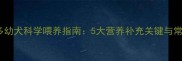 拉布拉多幼犬科学喂养指南5大营养补充关键与常见误区