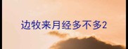 边牧来月经多不多