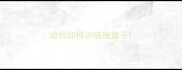 边牧如何训练接盘子