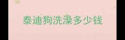 泰迪狗洗澡多少钱