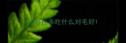 拉布拉多吃什么对毛好