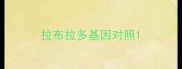 拉布拉多基因对照