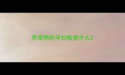 养宠物的孕妇检查什么