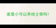 家里小可以养哈士奇吗