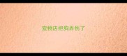 宠物店把狗弄伤了
