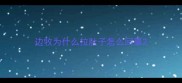 边牧为什么拉肚子怎么回事