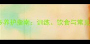 黑色拉布拉多养护指南训练饮食与常见健康问题全