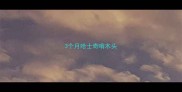 3个月哈士奇啃木头