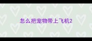怎么把宠物带上飞机