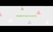 宠物狗不能吃的东西