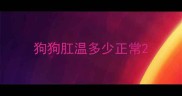狗狗肛温多少正常
