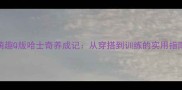 萌趣Q版哈士奇养成记从穿搭到训练的实用指南