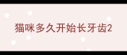 猫咪多久开始长牙齿