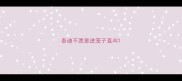 泰迪不愿意进笼子直叫