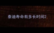 泰迪寿命有多长时间