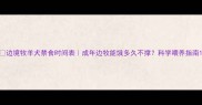 边境牧羊犬禁食时间表成年边牧能饿多久不撑科学喂养指南
