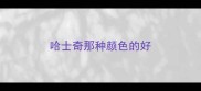 哈士奇那种颜色的好