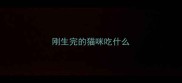刚生完的猫咪吃什么
