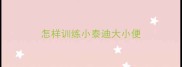 怎样训练小泰迪大小便