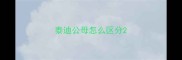 泰迪公母怎么区分