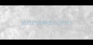边牧的品种怎么区分