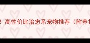 新手必看高性价比治愈系宠物推荐附养护指南
