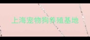 上海宠物狗养殖基地