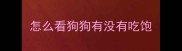 怎么看狗狗有没有吃饱