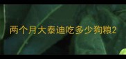 两个月大泰迪吃多少狗粮