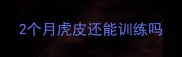 2个月虎皮还能训练吗